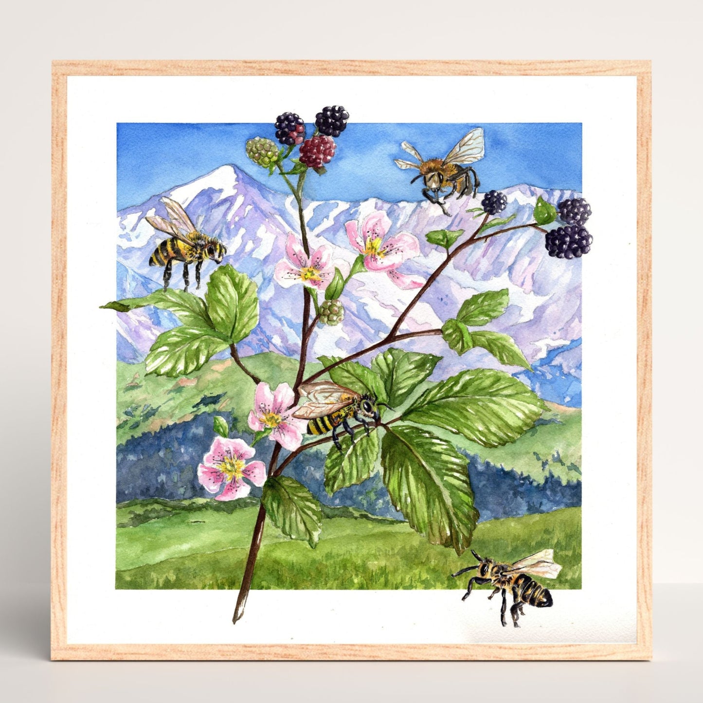 Blackberry Bees | Original Watercolor Painting - Emma H. Baldwin
