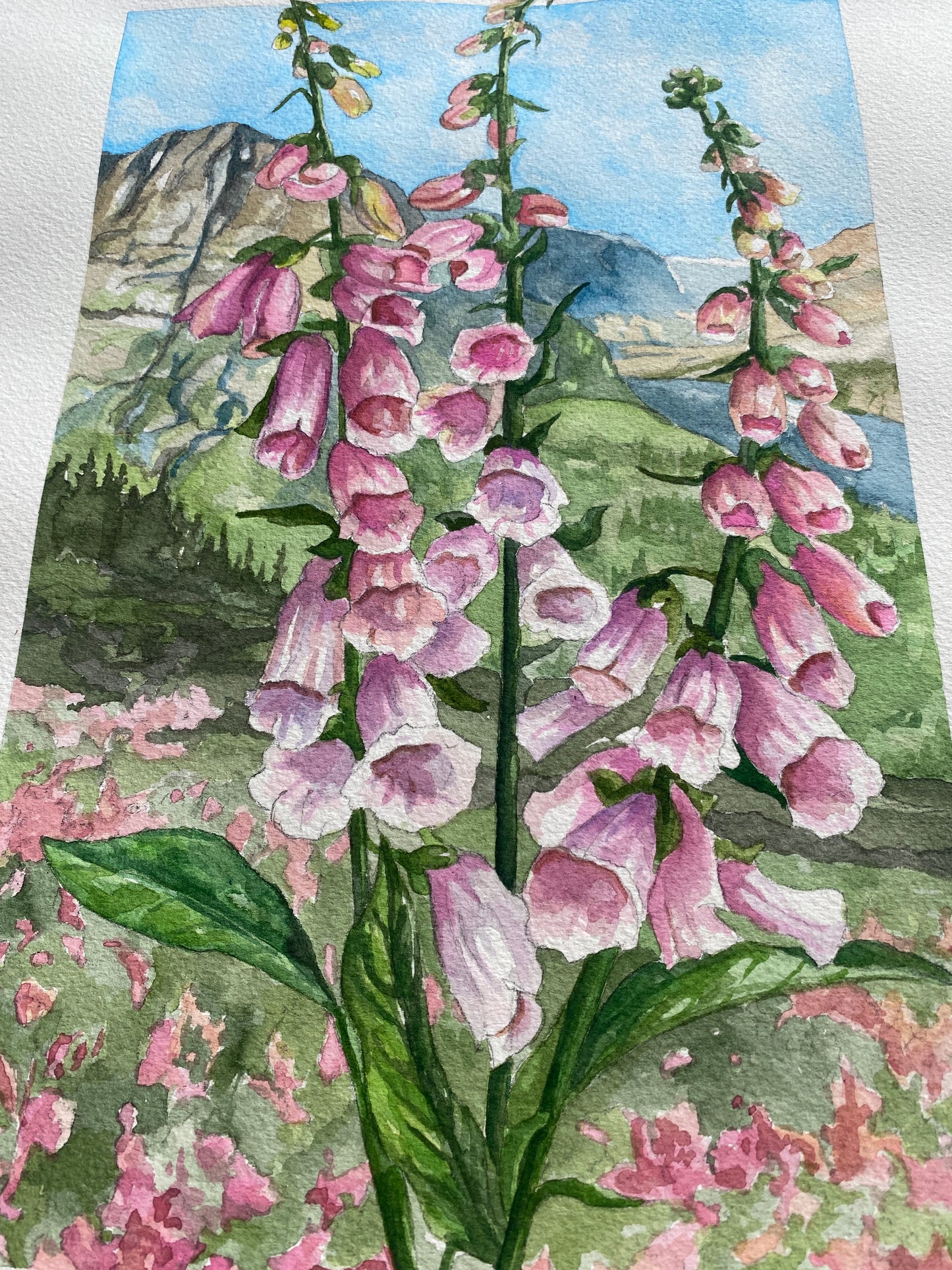 Foxglove in Bloom | Original Watercolor Painting - Emma H. Baldwin
