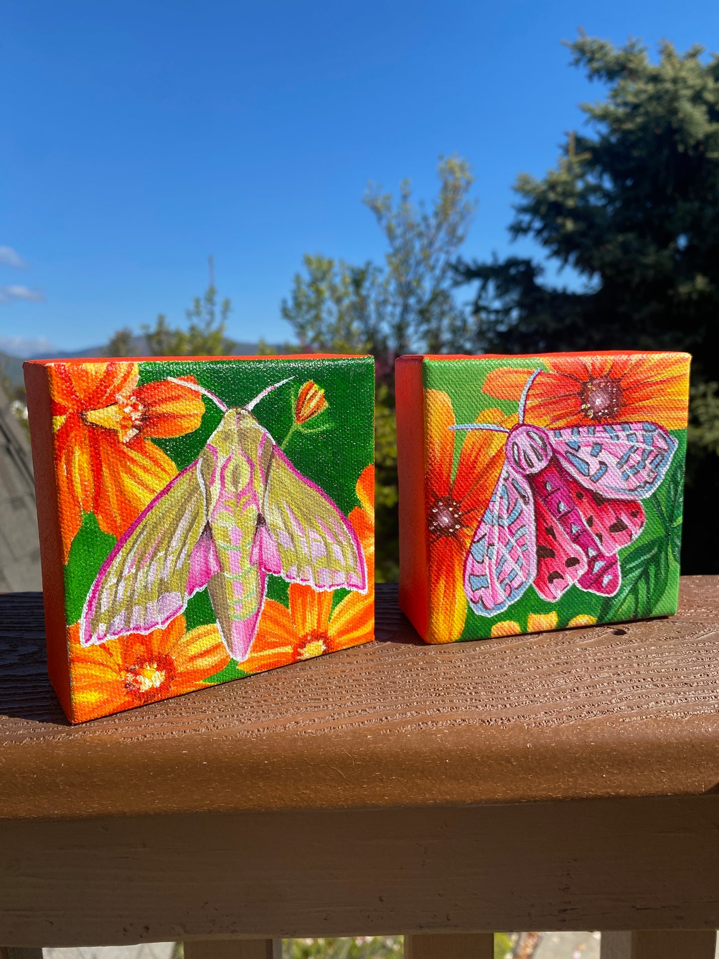 Elephant Hawk Moth | Original Acrylic Painting