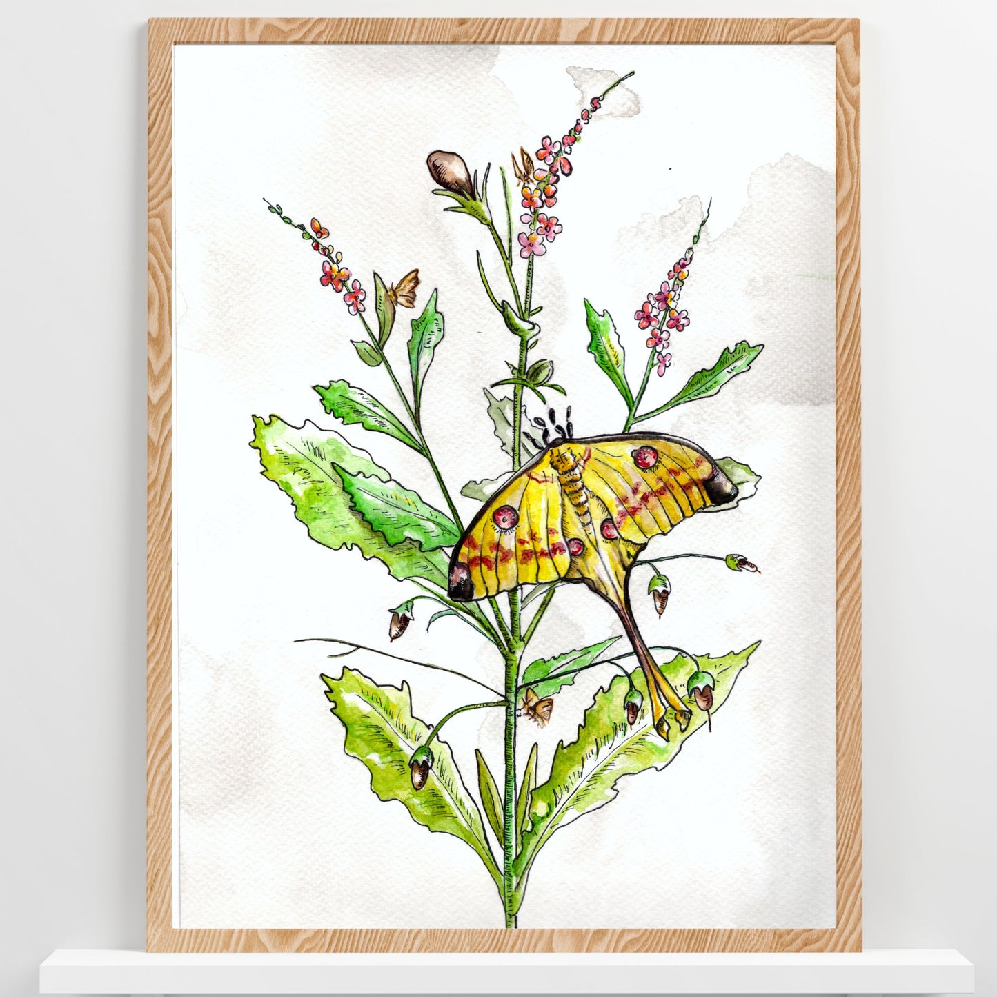 Luna Moth Floral Watercolor Print | Botanical Wall Art