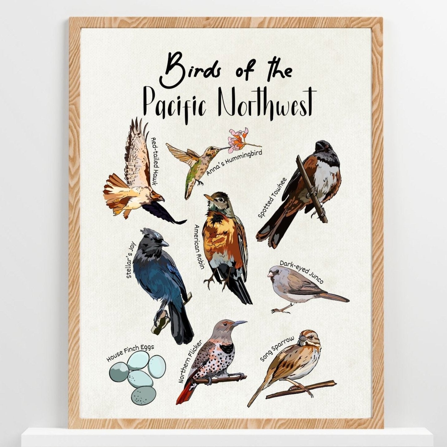 Pacific Northwest Birds | Botanical Art Poster