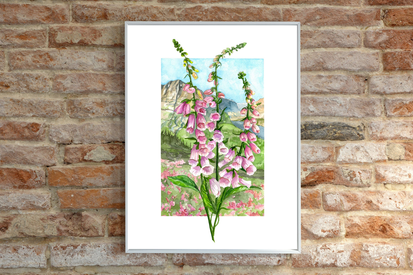 Foxglove in Bloom | Archival Watercolor Art Print - Emma H. Baldwin