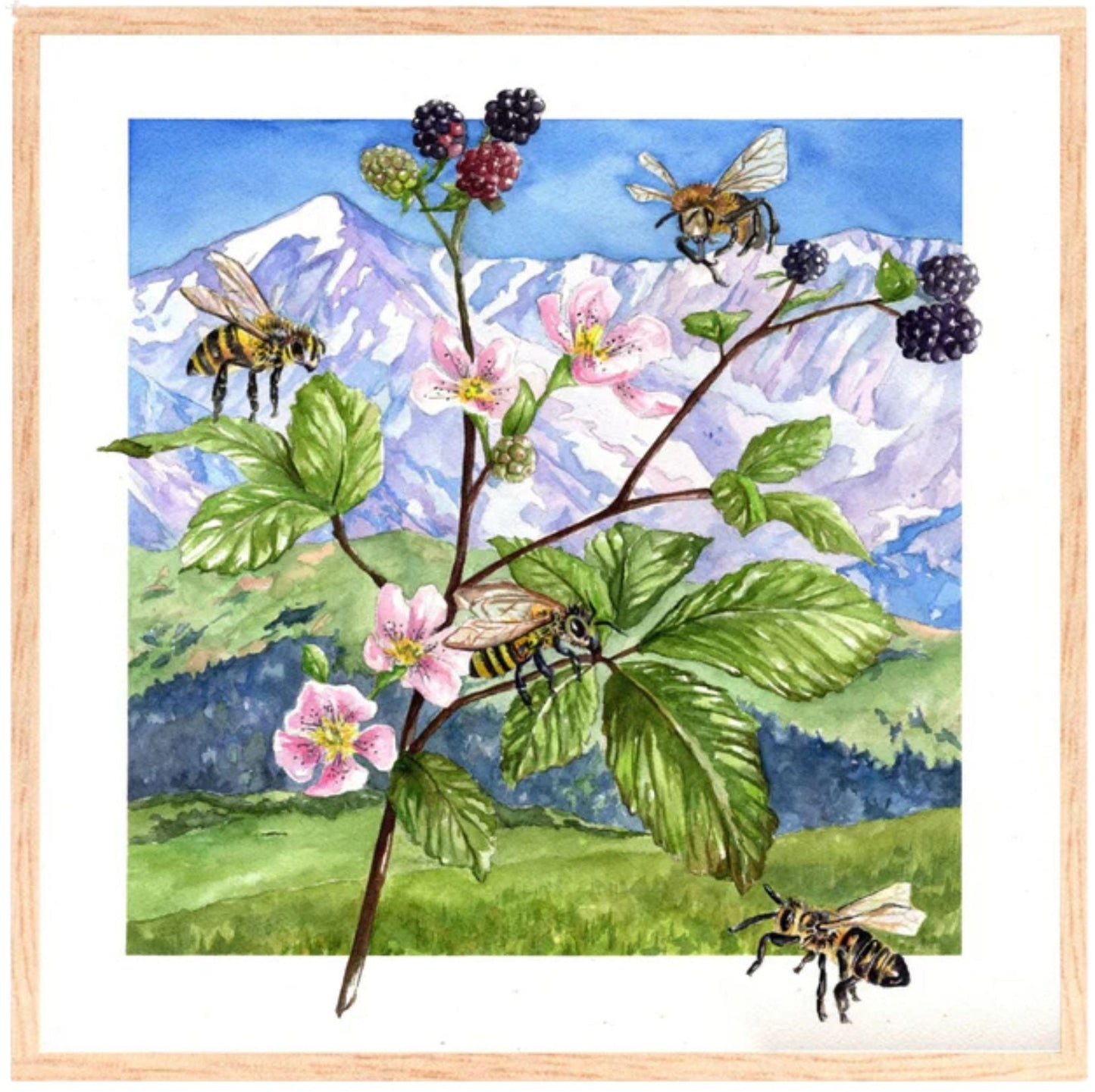 Blackberry Bees | Original Watercolor Painting - Emma H. Baldwin