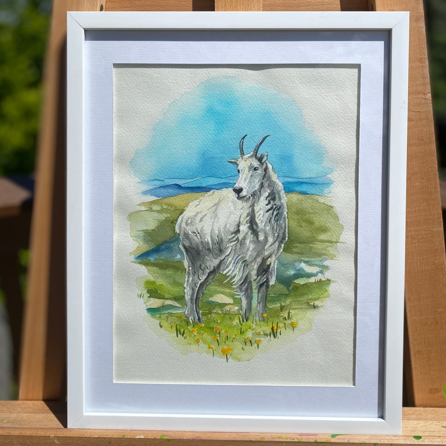 Mountain Goat | Original Watercolor Painting - Emma H. Baldwin