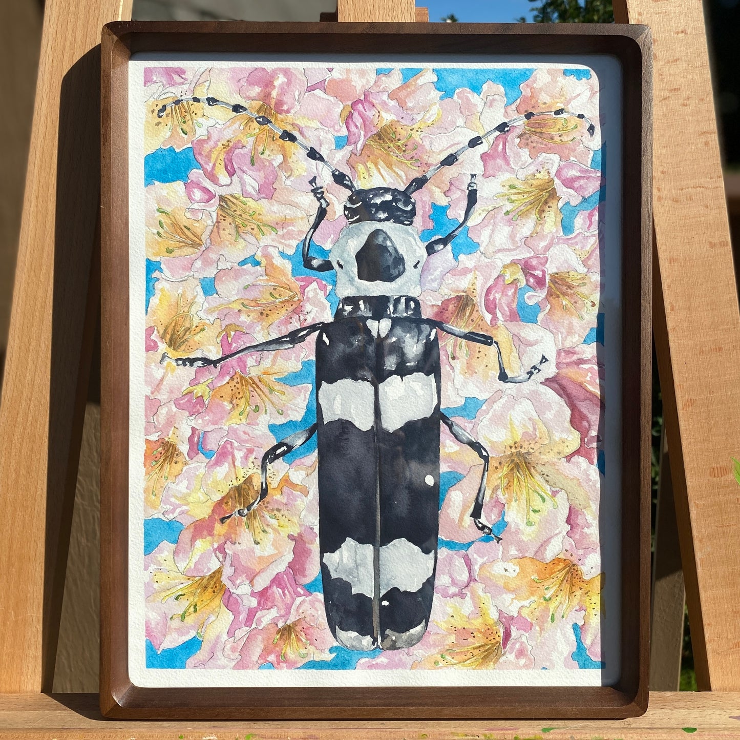 Alder Borer Beetle | Original Watercolor Painting - Emma H. Baldwin