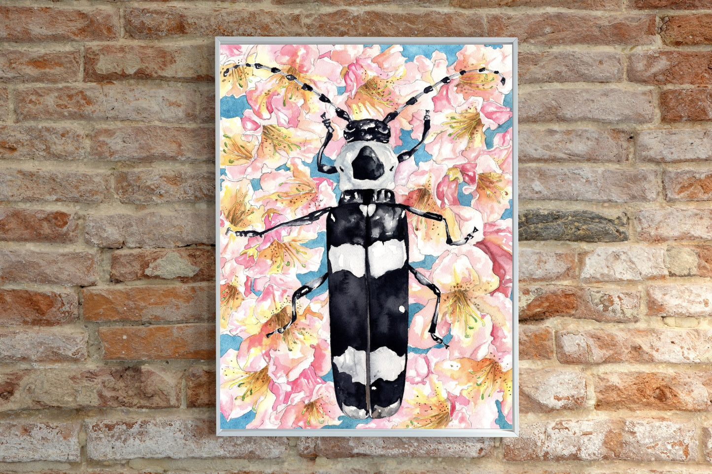 Alder Borer Beetle | Archival Watercolor Art Print - Emma H. Baldwin