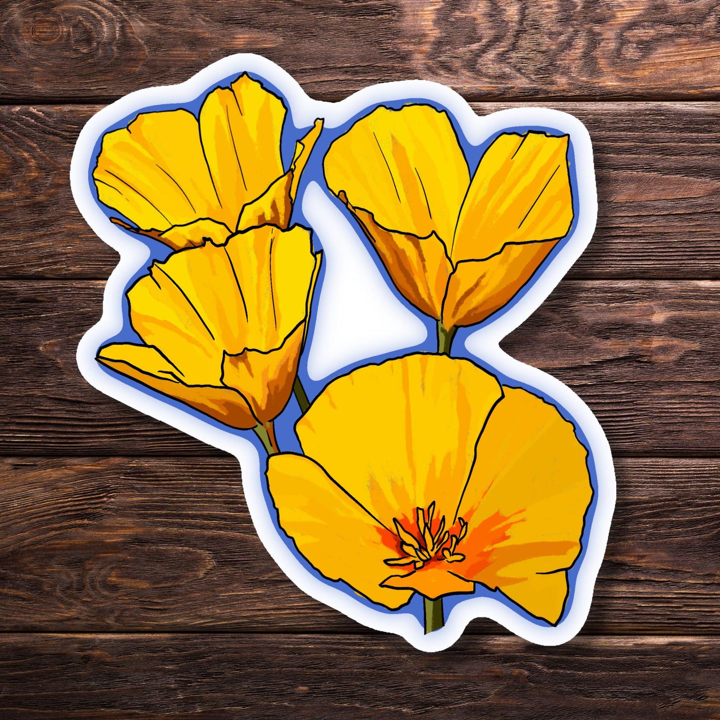 California Poppy Wildflower Sticker