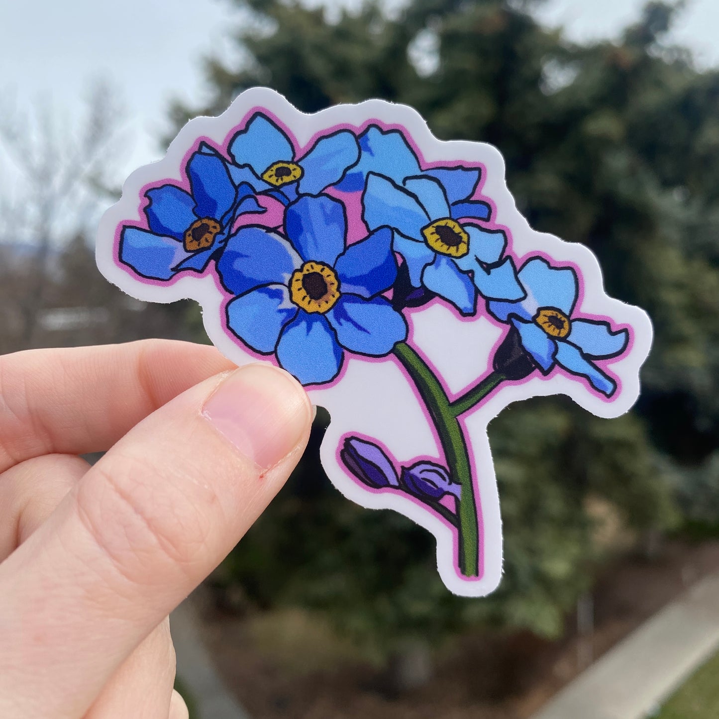 Forget Me Not Wildflower Sticker