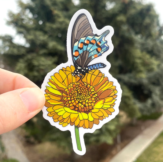 Desert Marigold and Pipevine Butterfly Sticker