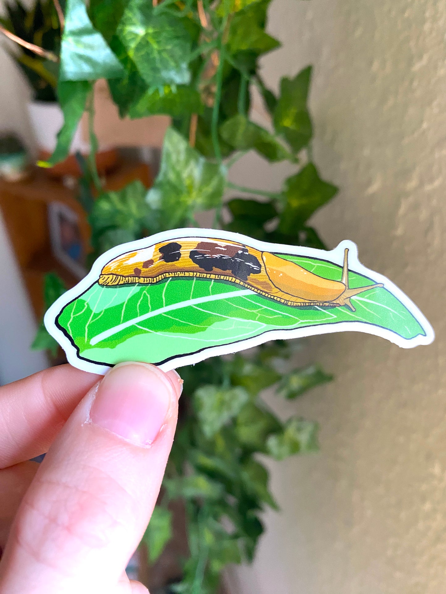 Banana Slug on Leaf Vinyl Decal, Waterproof Outdoor Use, UV resistant Decal