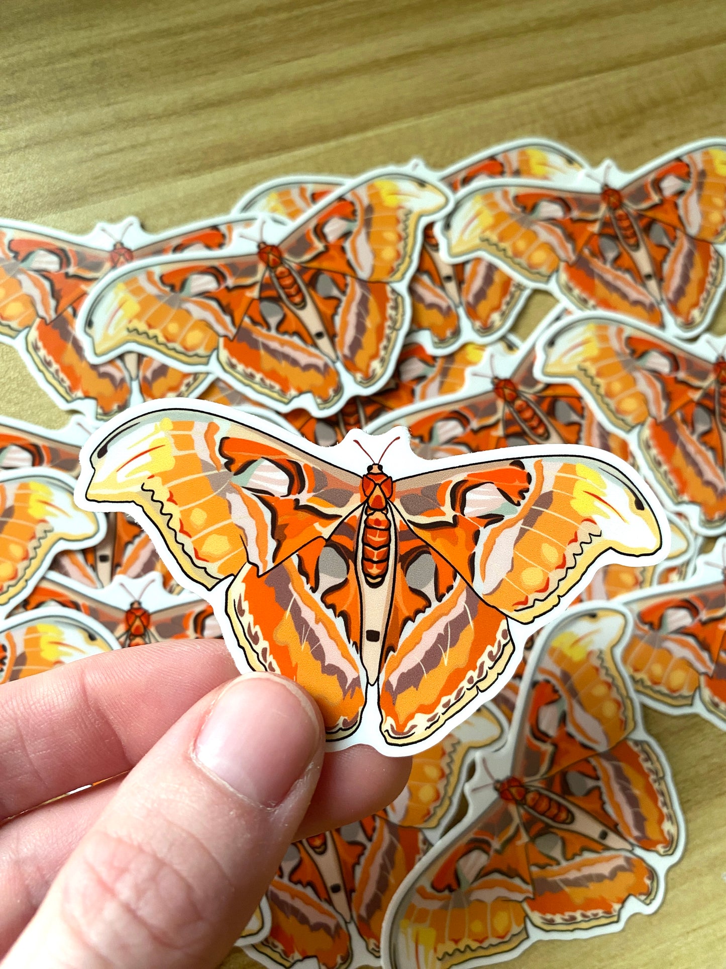Atlas Moth Sticker - Waterproof Outdoor Use, UV resistant Decal