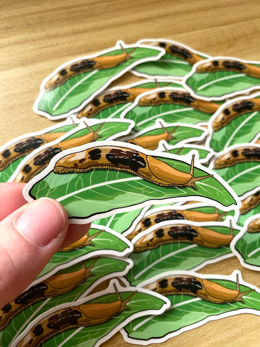 Banana Slug on Leaf Vinyl Decal, Waterproof Outdoor Use, UV resistant Decal