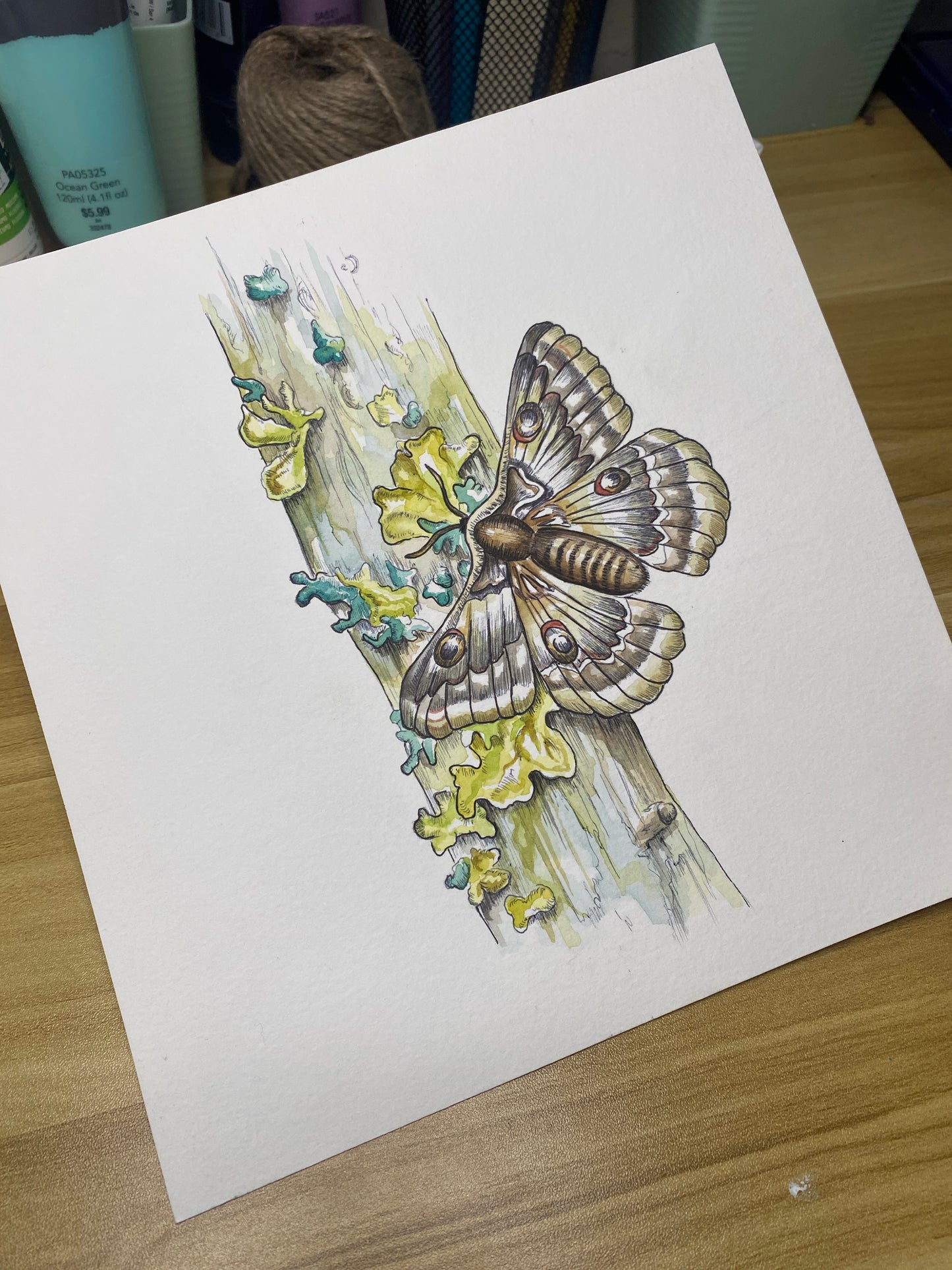 Moth on Moss-Covered Branch | Original Watercolor Painting