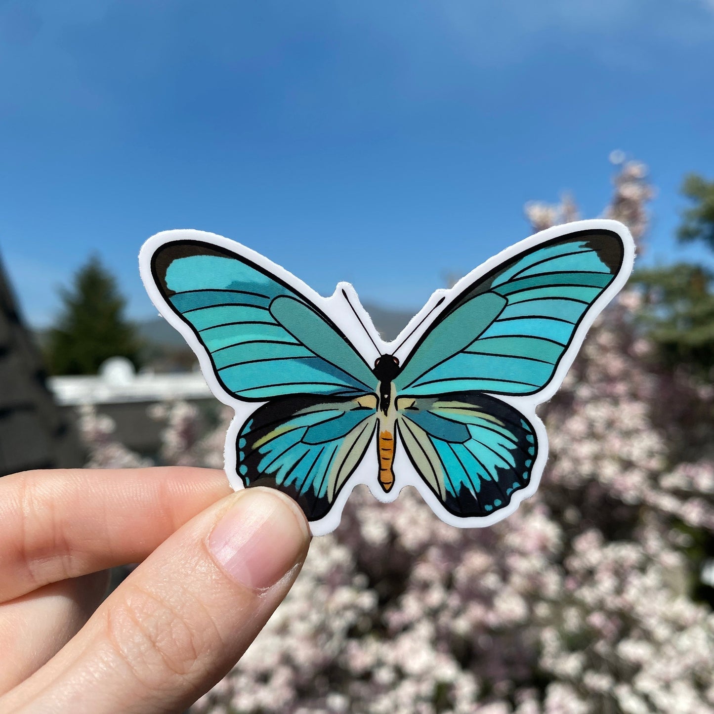 Teal Blue Butterfly Sticker