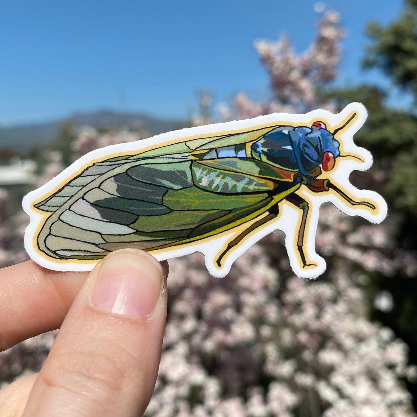 Cicada Waterproof Sticker