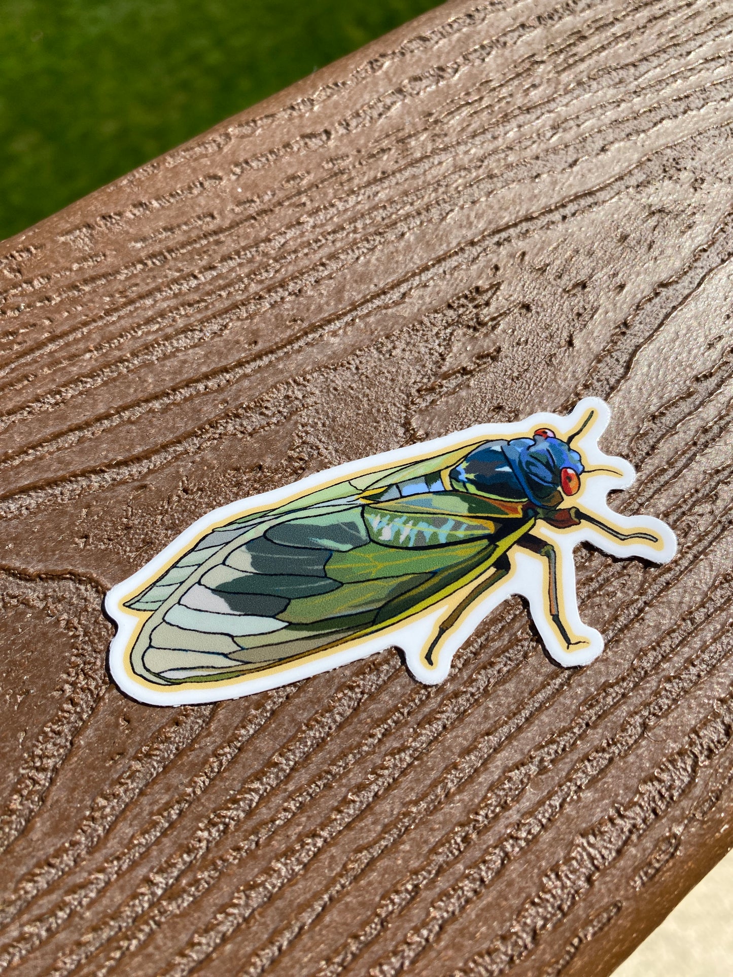 Cicada Waterproof Sticker