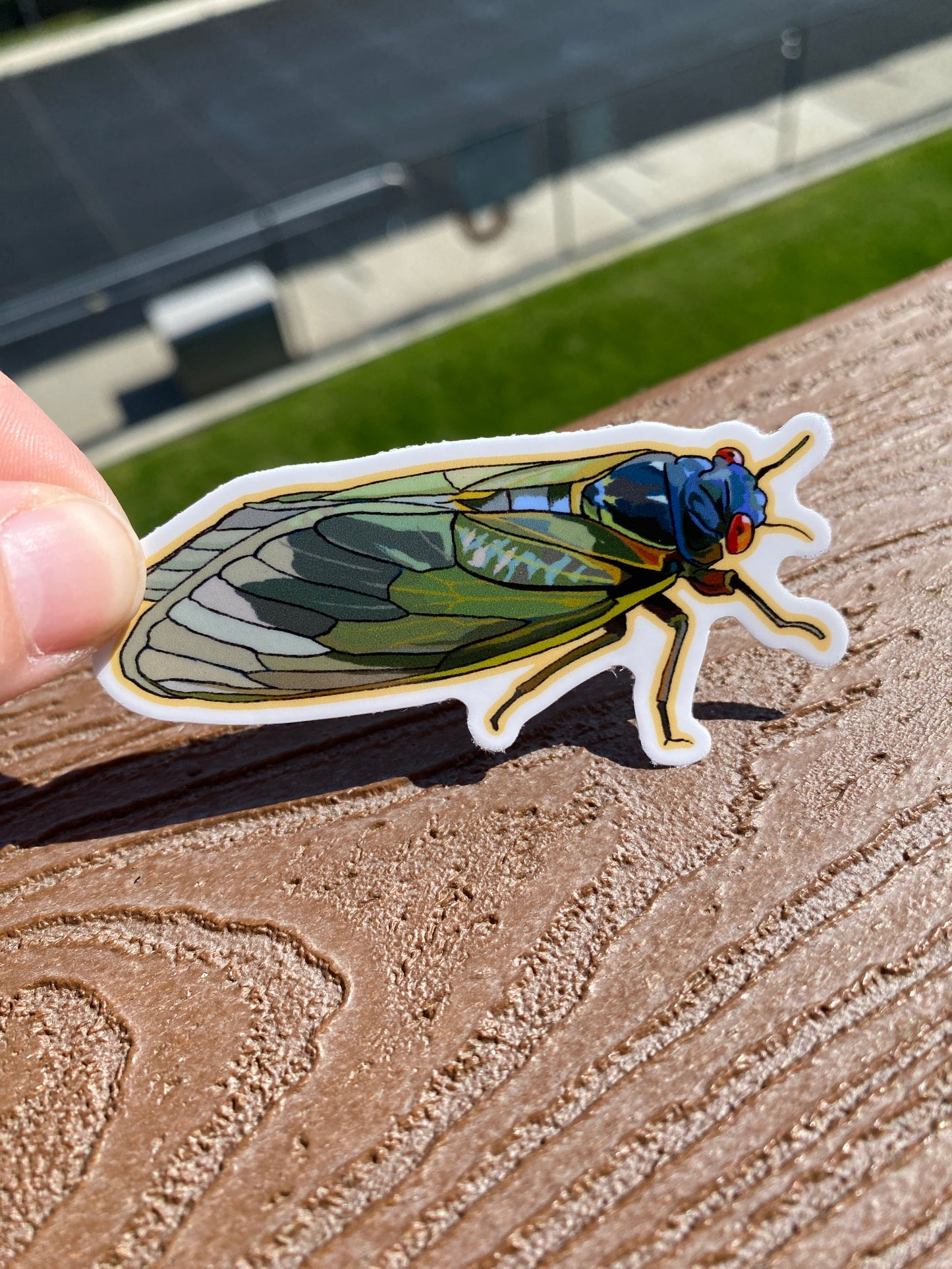 Cicada Waterproof Sticker