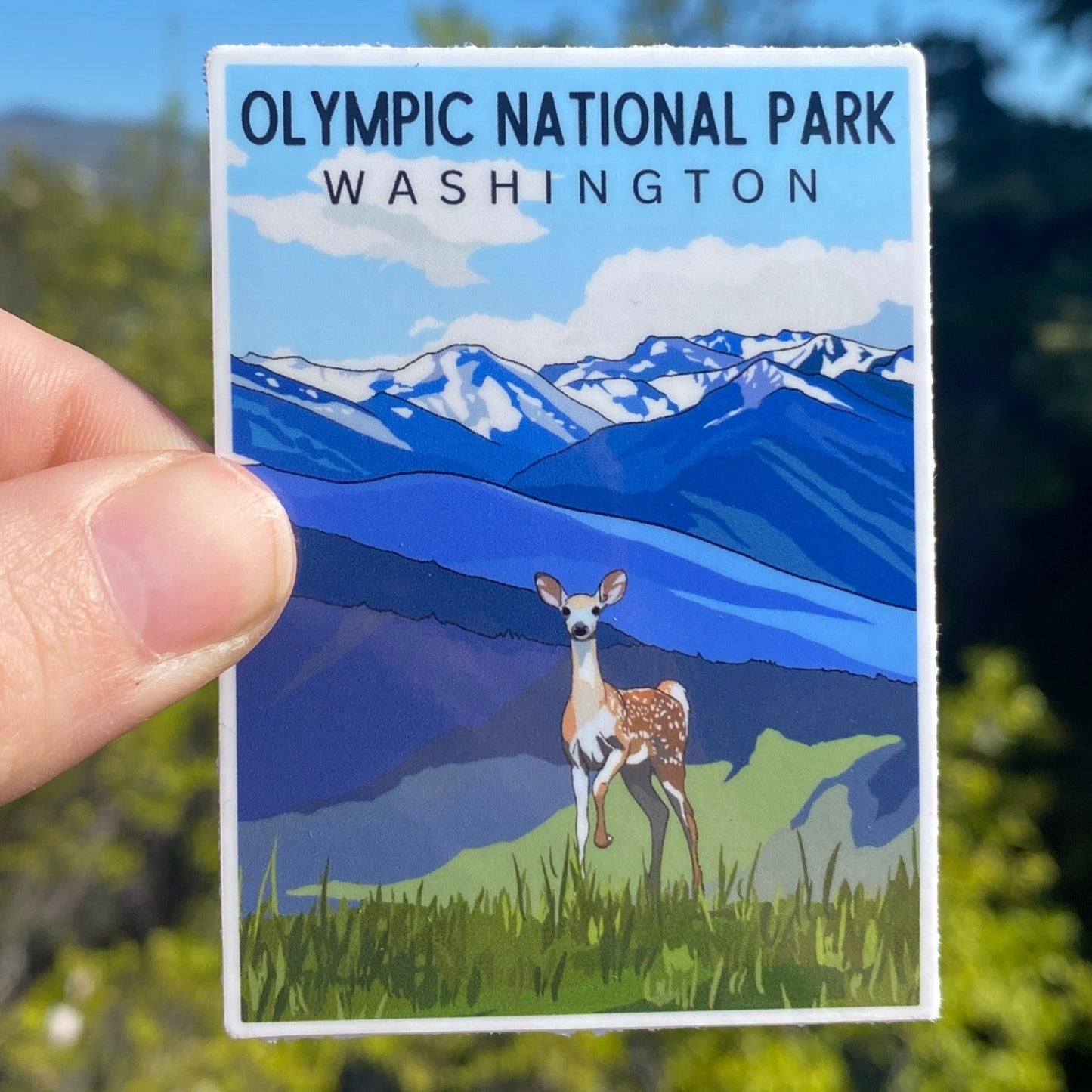 Olympic National Park, Washington | Vinyl Decal Waterproof
