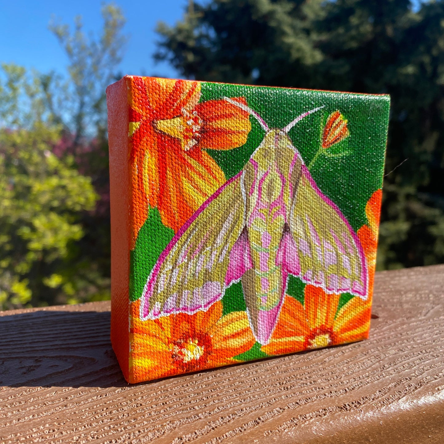 Elephant Hawk Moth | Original Acrylic Painting