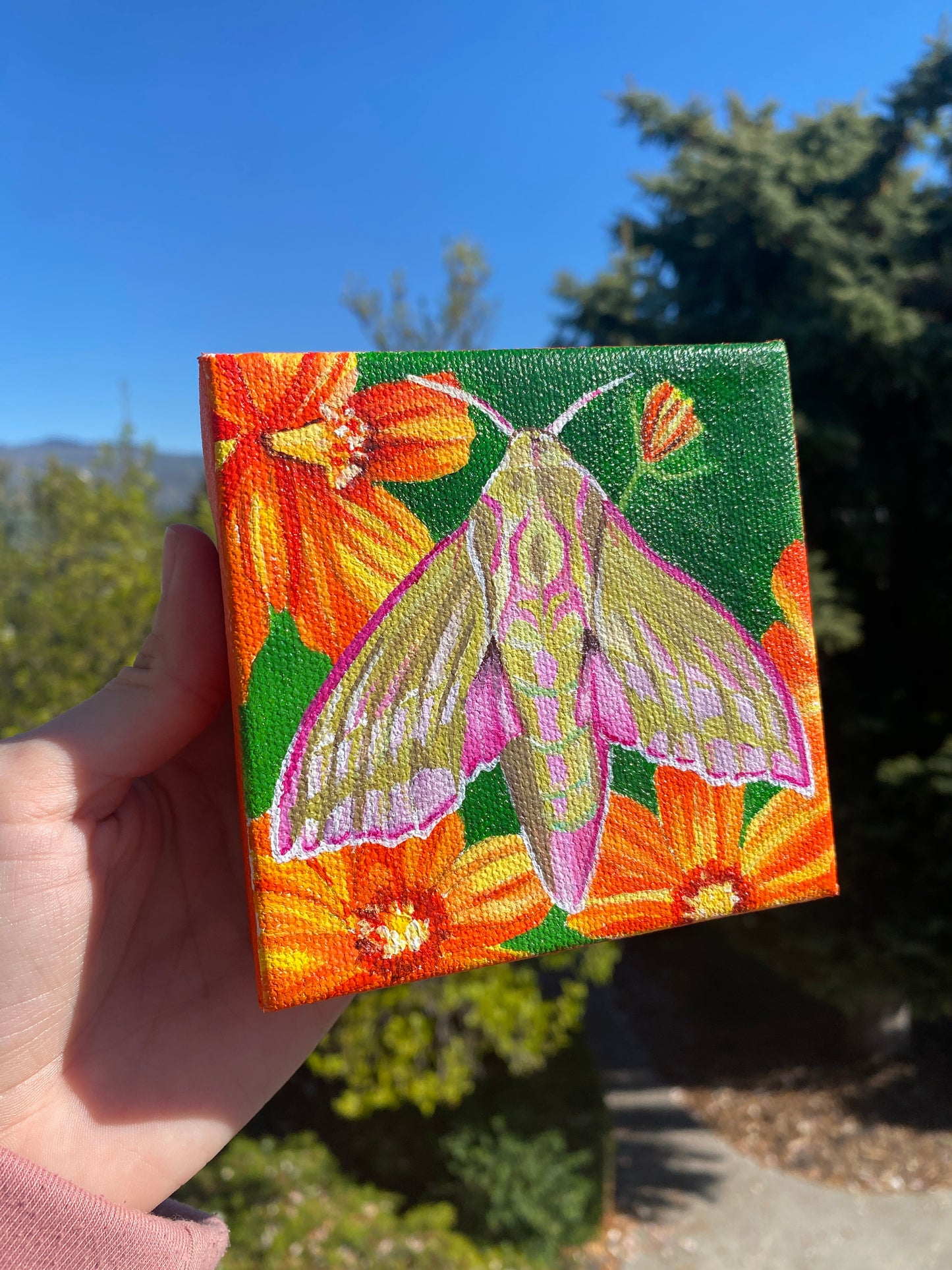Elephant Hawk Moth | Original Acrylic Painting
