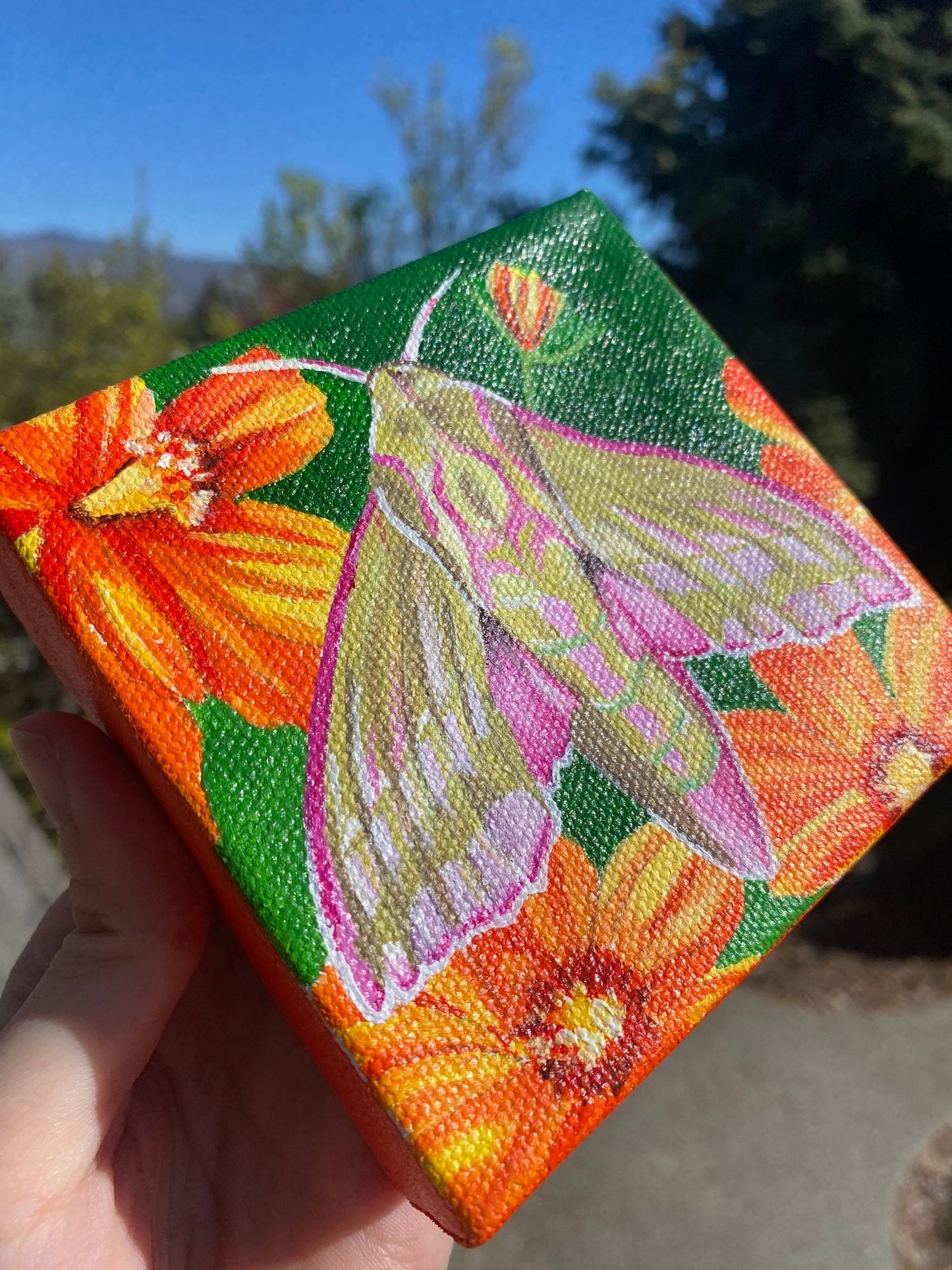 Elephant Hawk Moth | Original Acrylic Painting