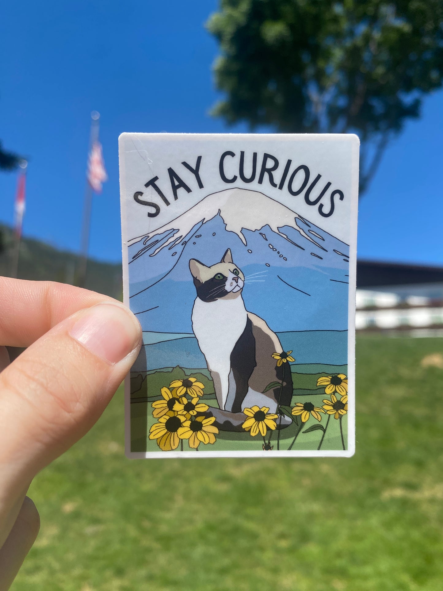 Stay Curious Cat and Mountain Sticker 2x3"