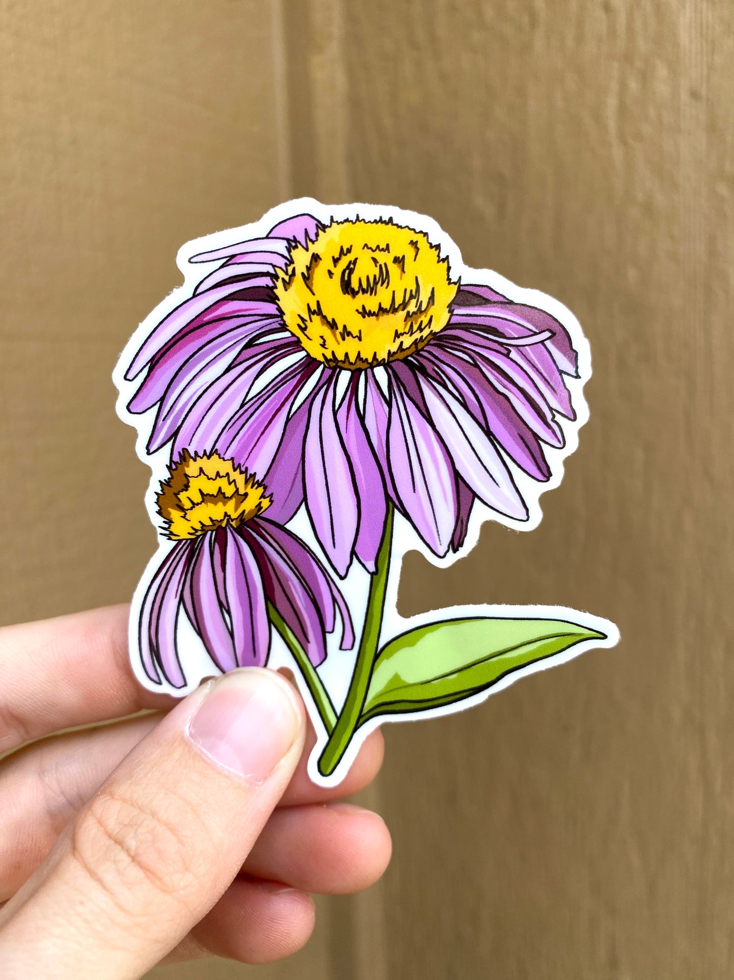 Purple Coneflower Wildflower Sticker