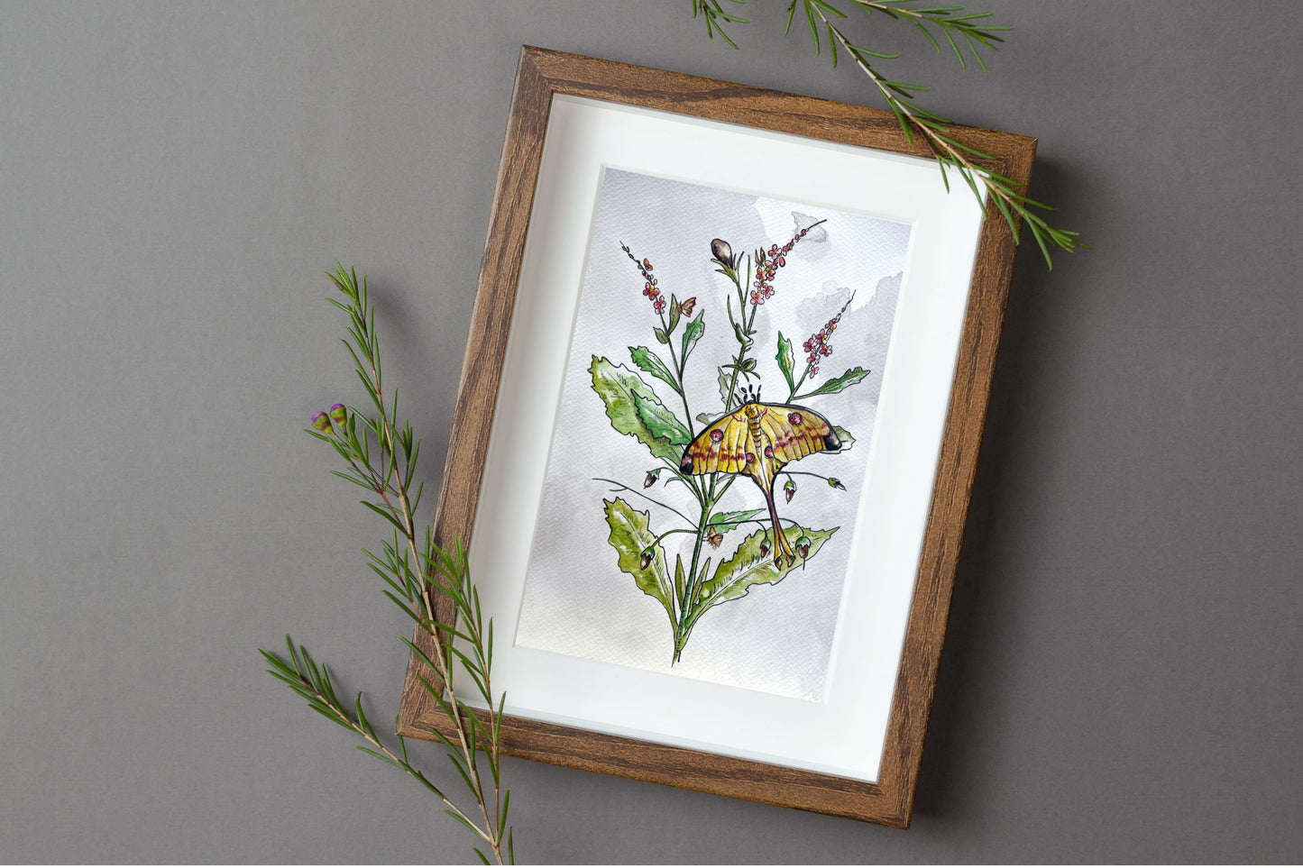 Luna Moth Floral Watercolor Print | Botanical Wall Art