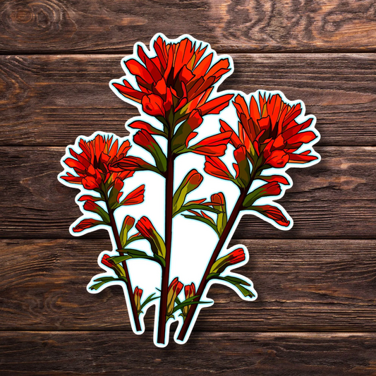 Indian Paintbrush Wildflower Sticker