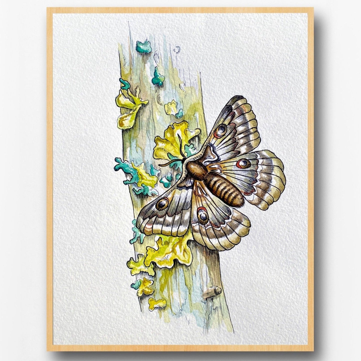 Moth on Moss-Covered Branch Watercolor Print | Botanical Wall Art