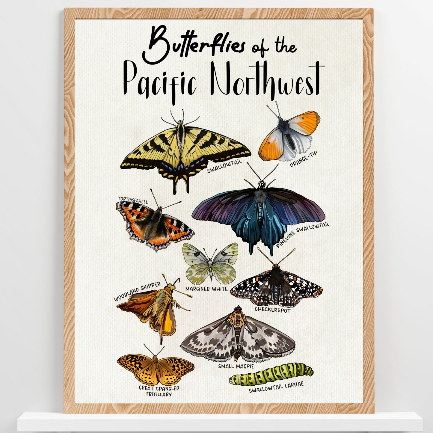 Pacific Northwest Butterflies | Botanical Art Poster