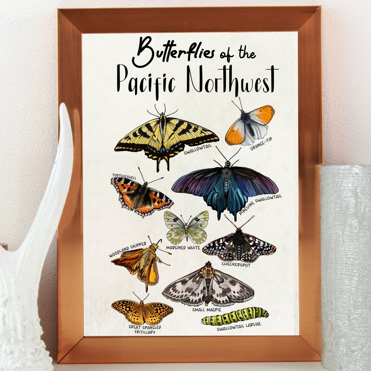 Pacific Northwest Butterflies | Botanical Art Poster