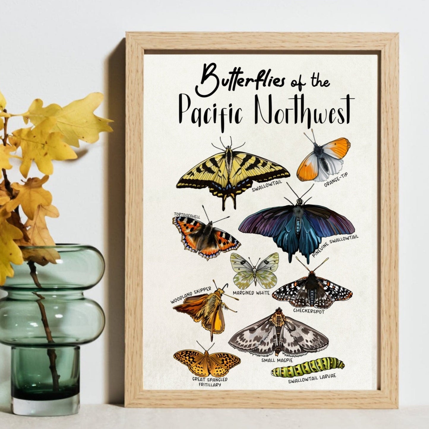 Pacific Northwest Butterflies | Botanical Art Poster