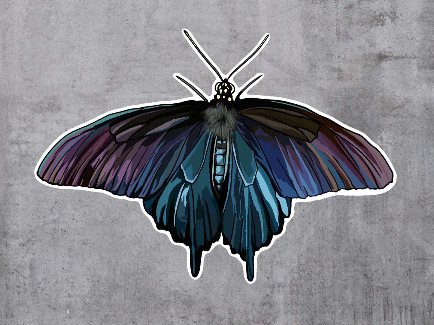Butterfly Holographic Pinevine Swallowtail Sticker