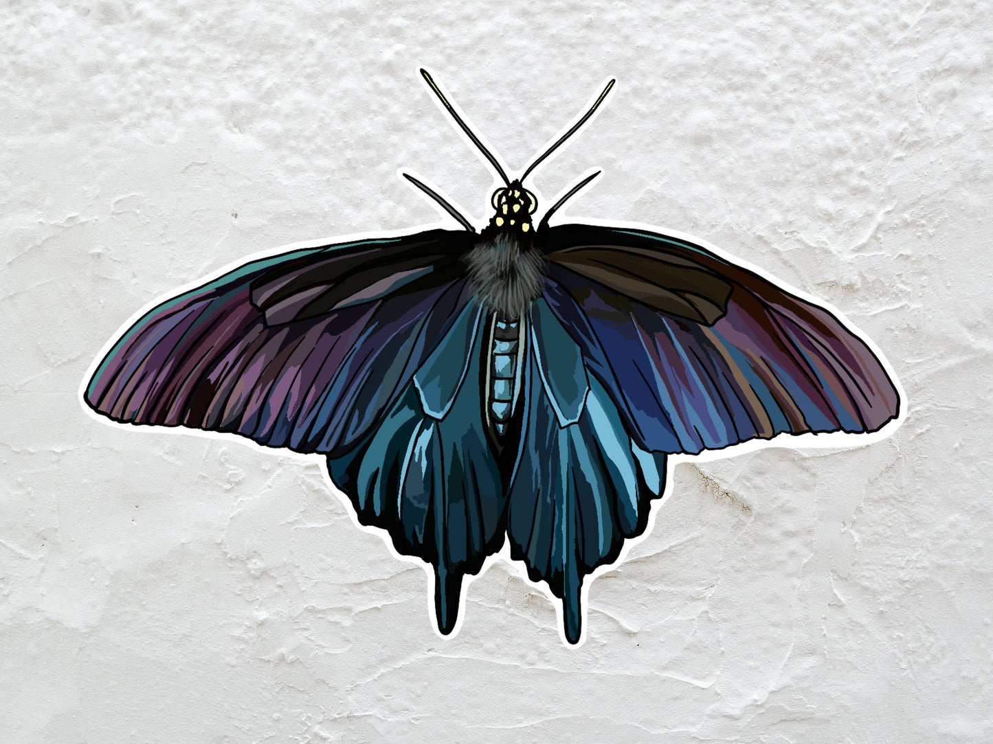Butterfly Holographic Pinevine Swallowtail Sticker