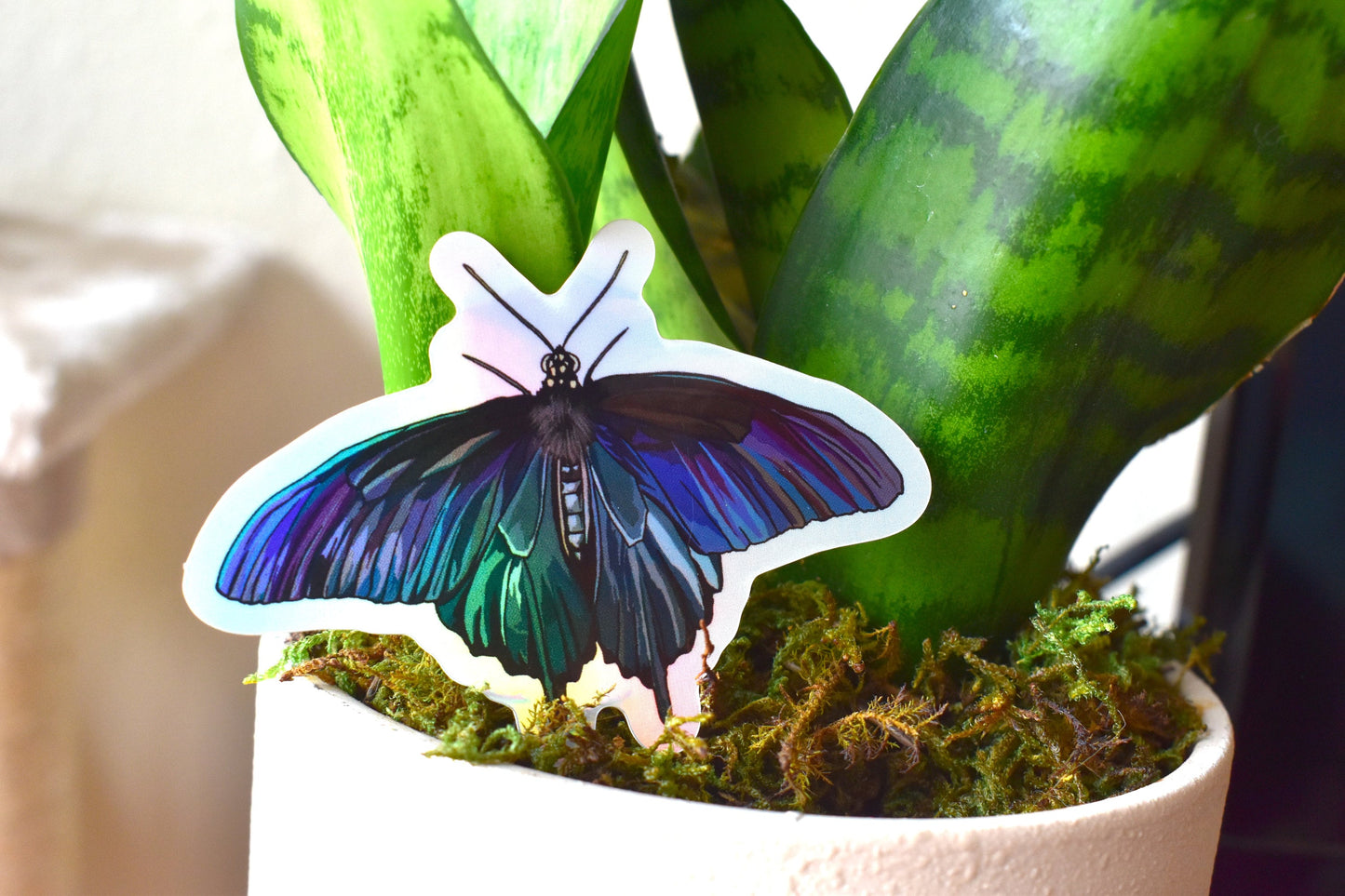 Butterfly Holographic Pinevine Swallowtail Sticker