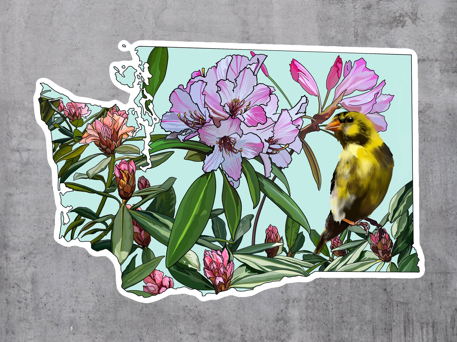 Washington State Sticker - State bird and flower - Willow Goldfinch sticker, Pacific rhododendron Vinyl Decal, Waterproof Outdoor Use