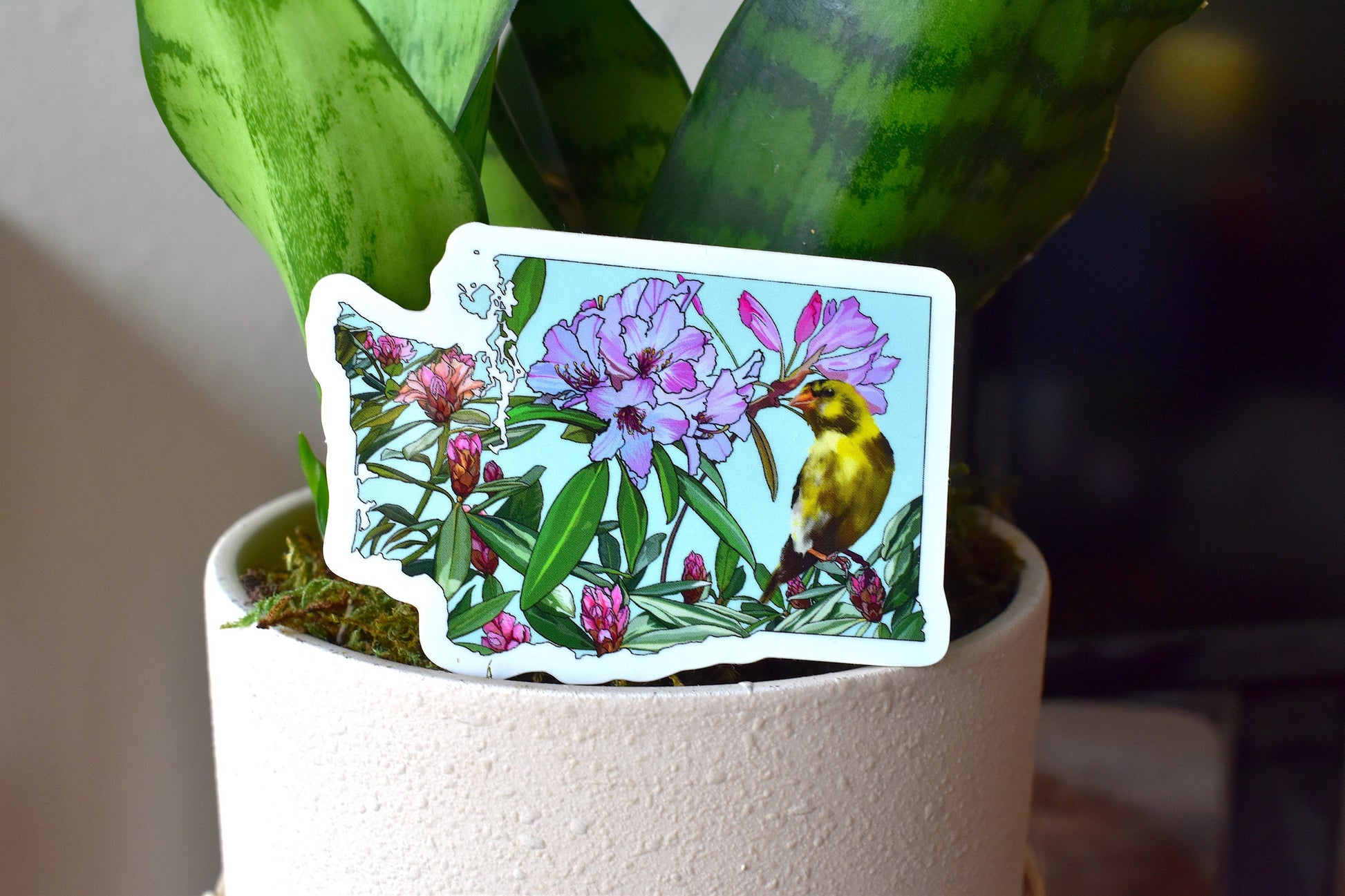 Washington State Sticker - State bird and flower - Willow Goldfinch sticker, Pacific rhododendron Vinyl Decal, Waterproof Outdoor Use