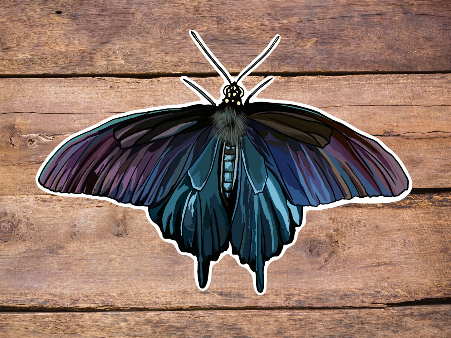 Butterfly Holographic Pinevine Swallowtail Sticker