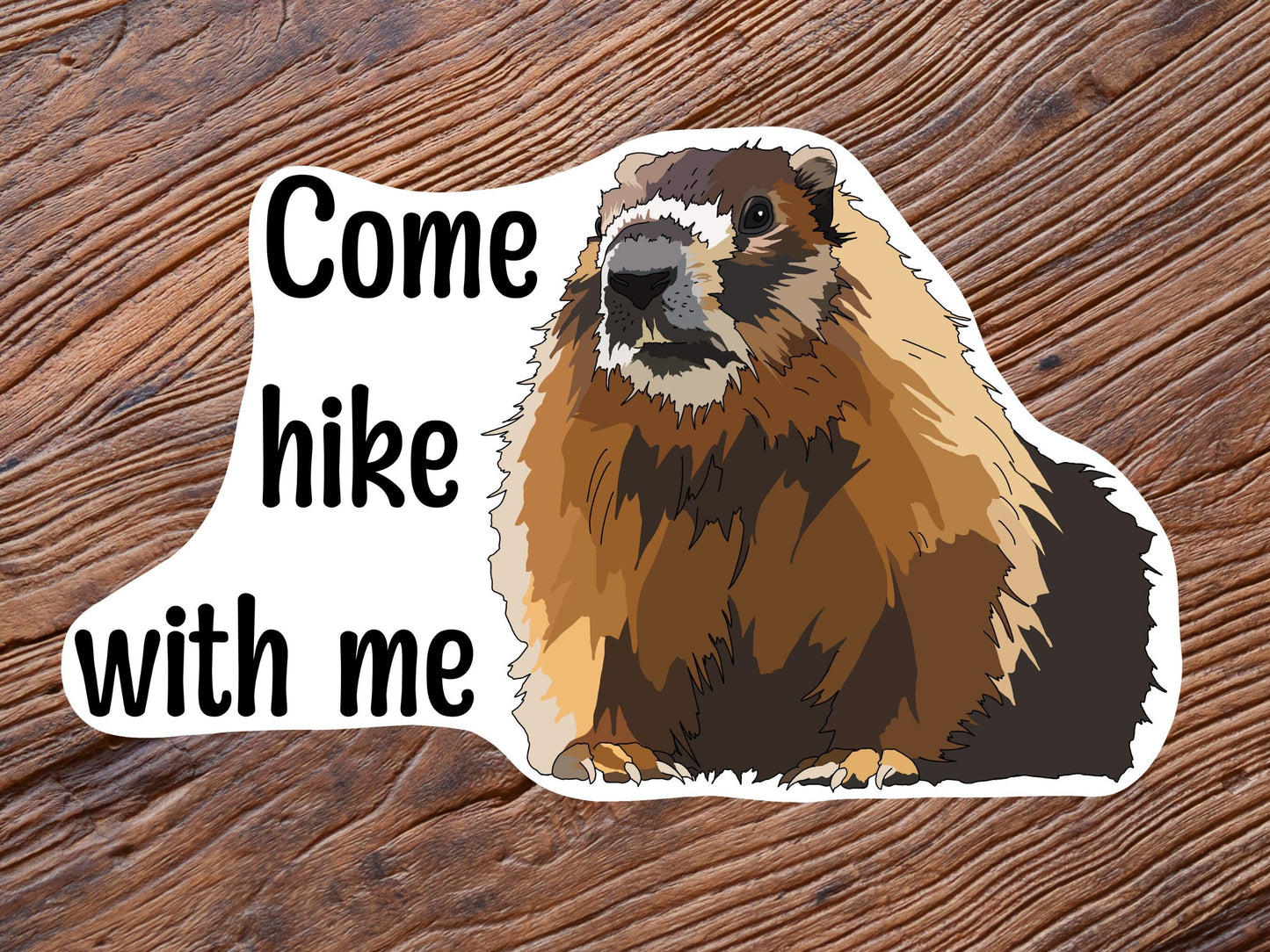 Marmot Hiking Sticker - Nature lover- animal lover - Vinyl Decal, Waterproof Outdoor Use, UV resistant Decal