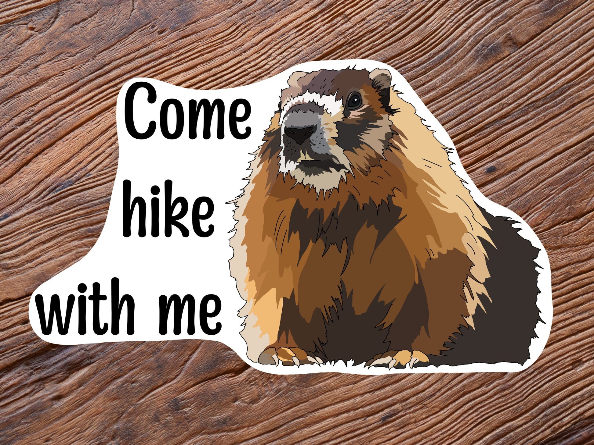Marmot Hiking Sticker - Nature lover- animal lover - Vinyl Decal, Waterproof Outdoor Use, UV resistant Decal