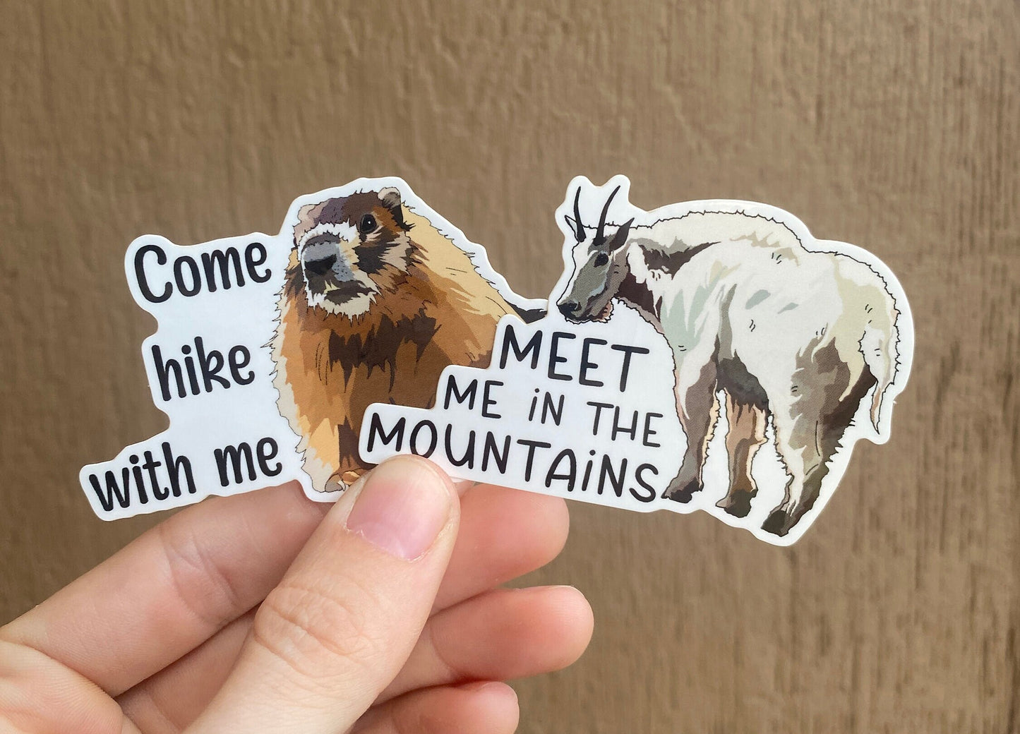 Marmot Hiking Sticker - Nature lover- animal lover - Vinyl Decal, Waterproof Outdoor Use, UV resistant Decal