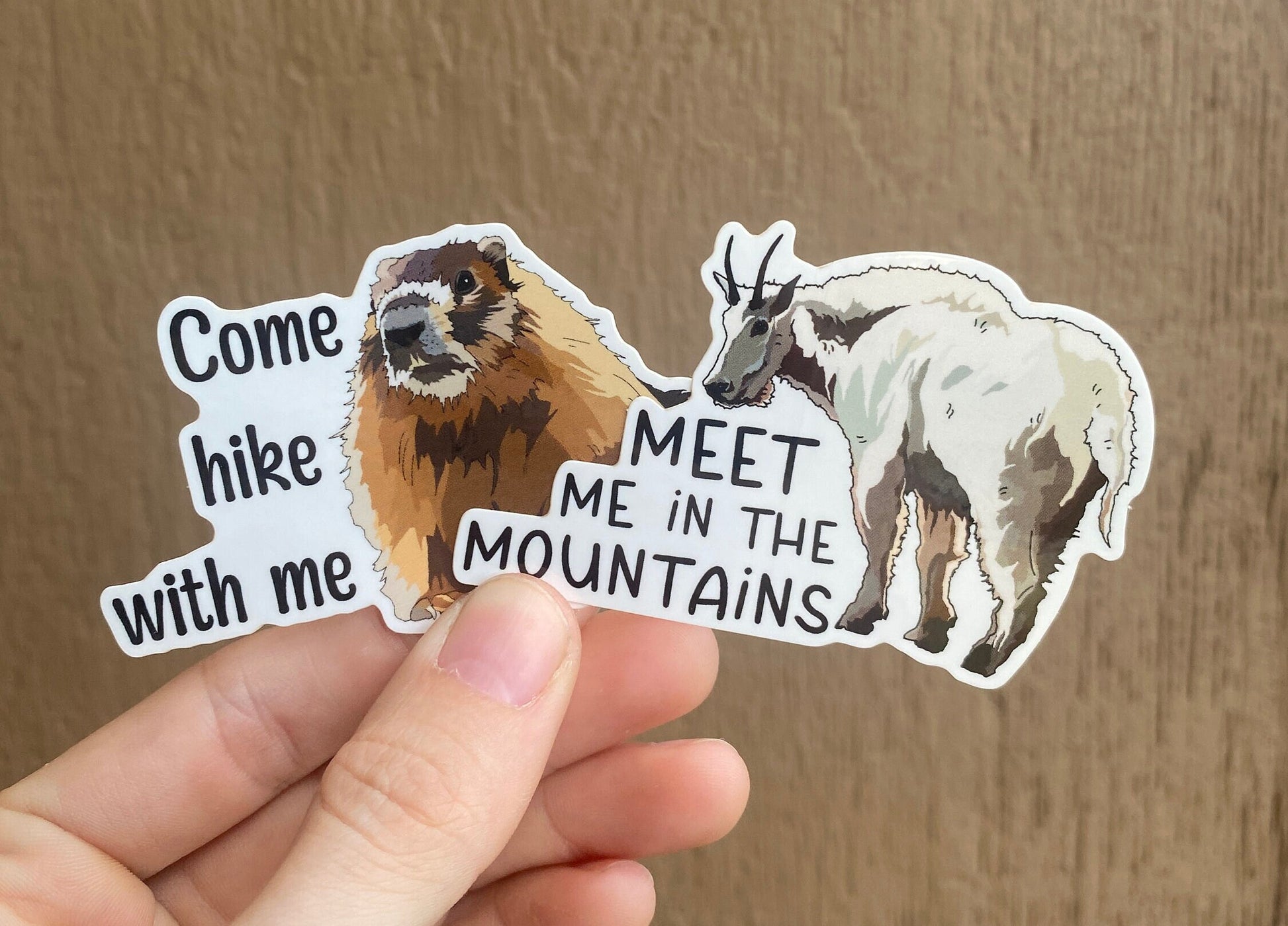 Marmot Hiking Sticker - Nature lover- animal lover - Vinyl Decal, Waterproof Outdoor Use, UV resistant Decal