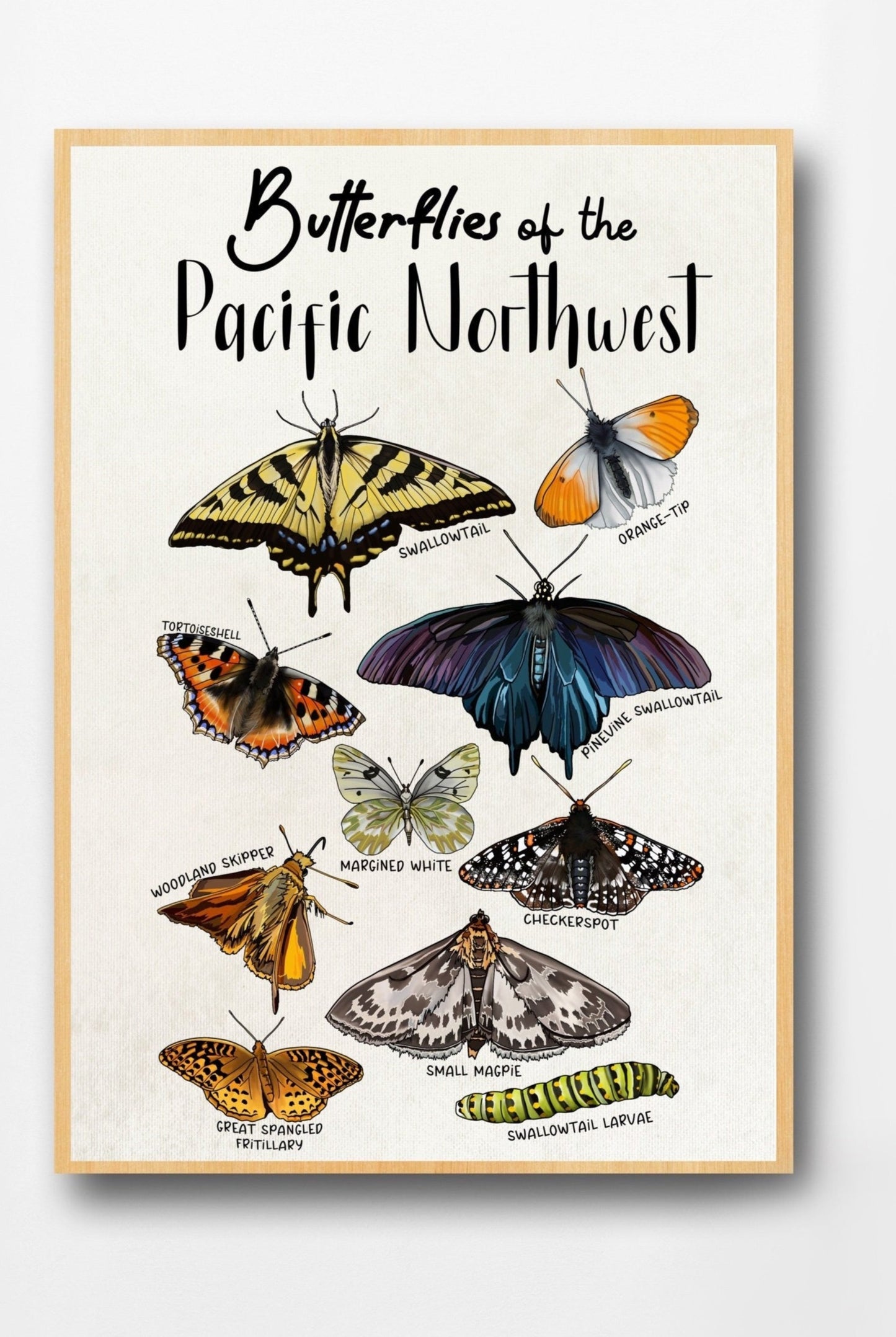 Pacific Northwest Butterflies | Botanical Art Poster